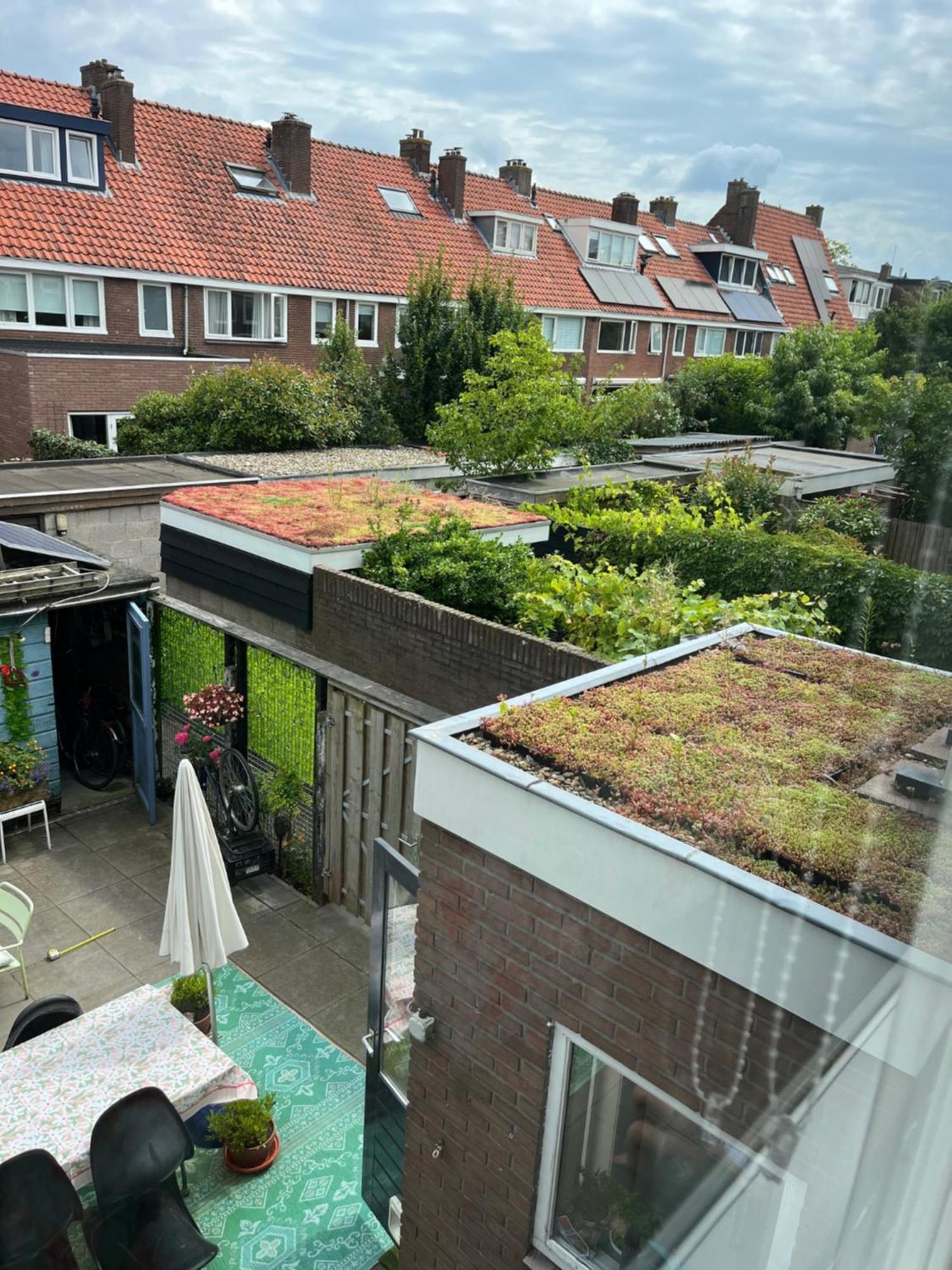 Bebabops Homestay Utrecht Exterior photo